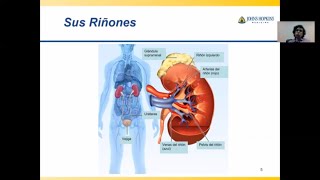 Renal Failure Acute and Chronic [upl. by Ayihsa646]